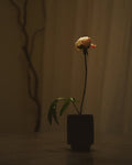 Fluted Vessel