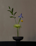Handmade Black Stoneware Ikebana Bowl (Flower Spike Included) | Floral + Dining Vessel